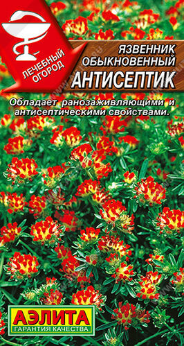 Язвенник Антисептик  Е/п