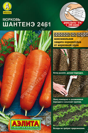 Морковь Шантенэ 2461  (лента)