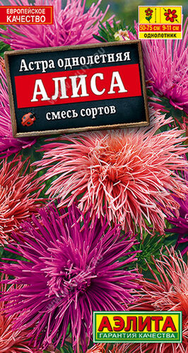 Астра Алиса, смесь игольчатая