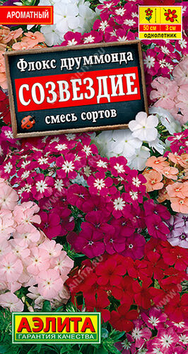 Флокс Друммонда Созвездие, смесь