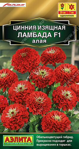 Цинния Ламбада F1 алая