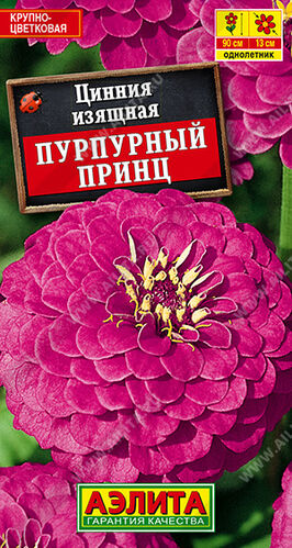 Цинния Пурпурный принц 