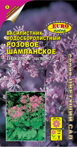 Василистник Розовое шампанское водосборолистный  С