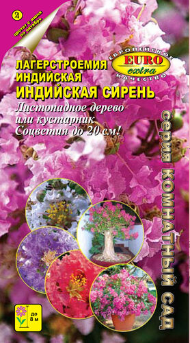 Лагерстроемия Индийская сирень  С