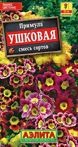 Примула ушковая, смесь