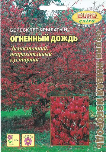 Бересклет Огненный дождь крылатый   С  Б/ф