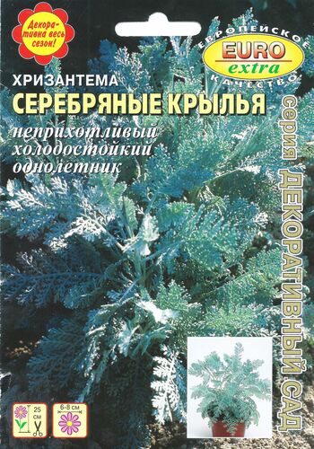 Хризантема Серебряные крылья   С  Б/ф