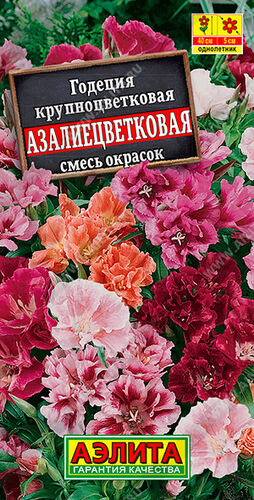 Годеция азалиецветковая, смесь