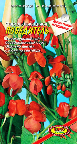 Фасоль Победитель вьющаяся С