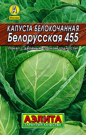 Капуста 2.с.Белорусская